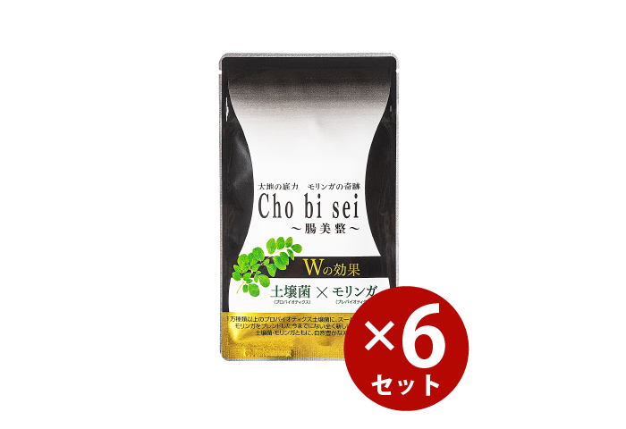 Cho bi sei 腸美整　〈6袋セット〉